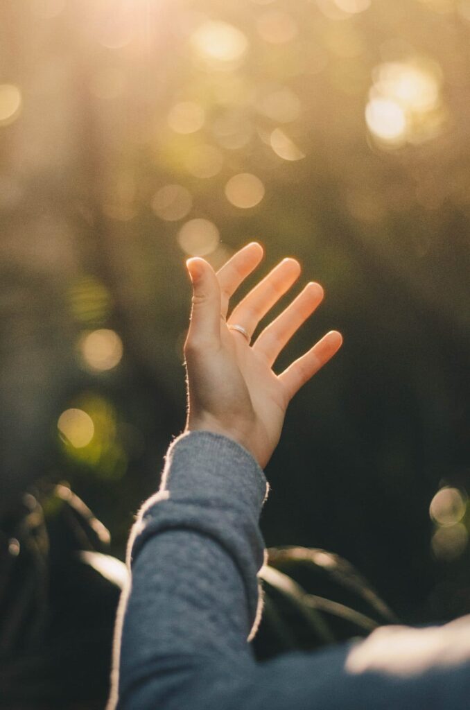 The Importance of Trust (Amana)